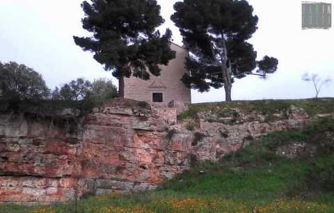 Rutigliano, l'antica e rurale 